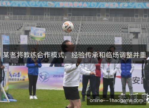 某老将教练合作模式,经验传承和临场调整并重 某老将教练合作模式,经验传承和临场调整并重